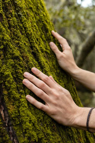 El turismo rural y los beneficios para tu salud - conexión con la naturaleza - turismo rural en Girona