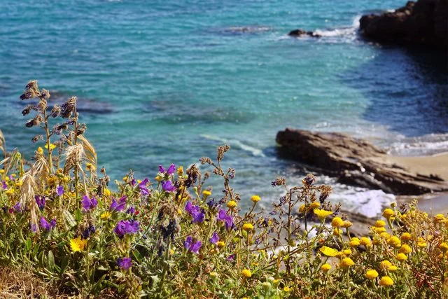 caminos de ronda - Flora y naturaleza costa brava - turismo rural en Girona