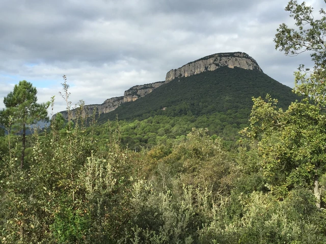amer - montaña sant roc mirador - casa y turismo rural en girona