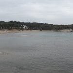Escapadas rurales pet friendly en Girona: viajar con perro sin complicaciones y disfrutar de la naturaleza