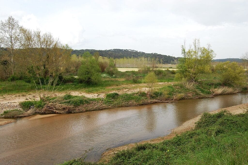 Río Tordera a su paso por La Selva, un paseo ideal desde una casa rural pet friendly